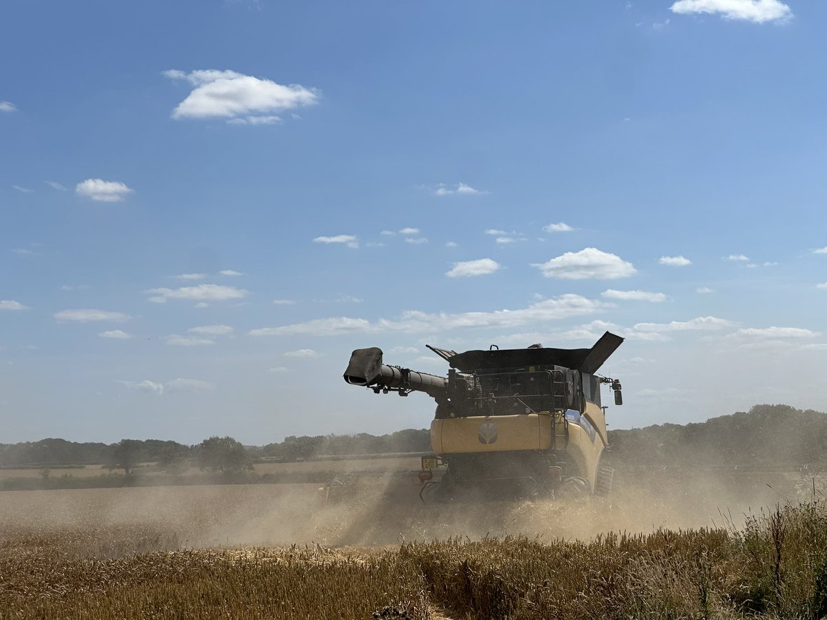 James Thompson tweet media