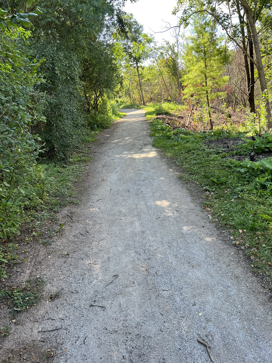 gm!

everything you’ve ever wanted is sitting on the other side of fear