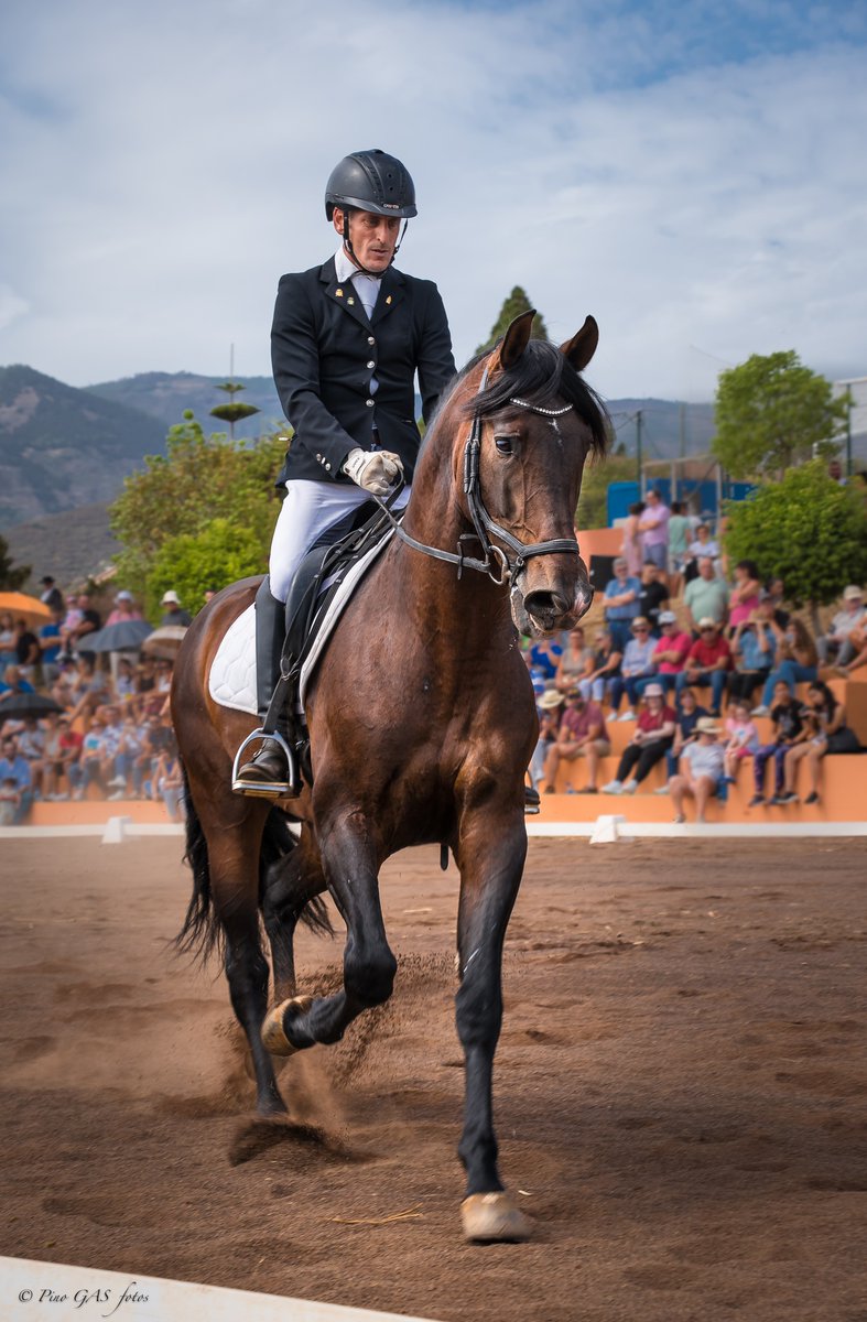 CanariasNotic's tweet photo. #SantaBrígida celebra el Día del Caballo en Pino Santo Alto
Ver más en Canarias Noticias 👉 https://t.co/Nlh4Uoq9ib https://t.co/14vQS5lH1I