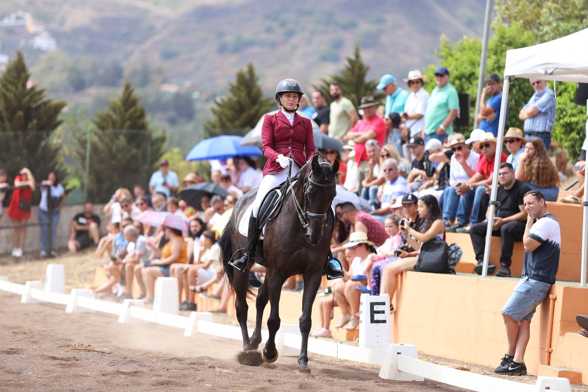 #SantaBrígida celebra el Día del Caballo en Pino Santo Alto
Ver más en Canarias Noticias 👉 canariasnoticias.es/2024/08/16/pin…