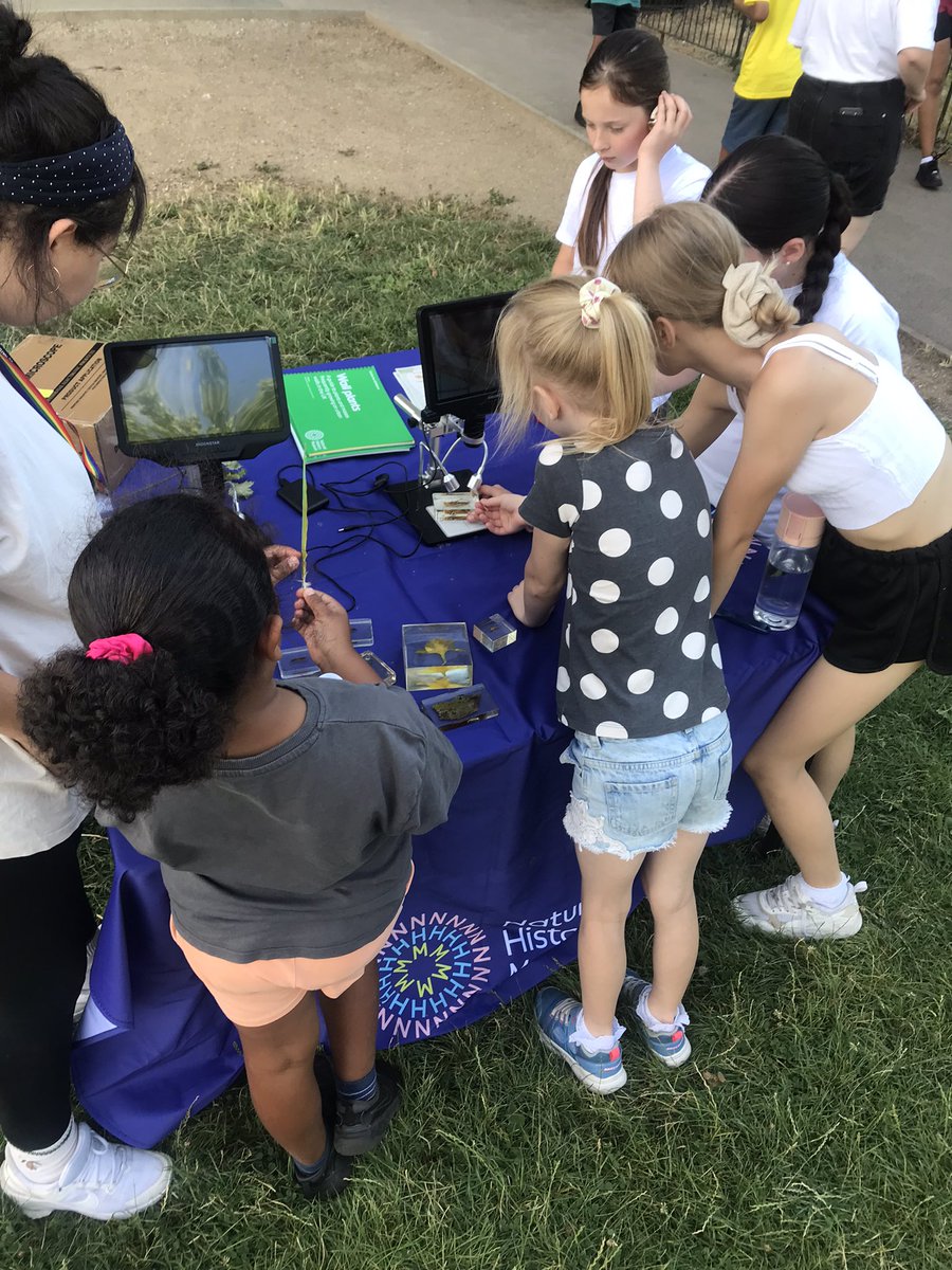 Safe Camp (@camp_safe) on Twitter photo Lovely day <a href="/camp_safe/">Safe Camp</a> looking for mini beasts that live in and around camp thanks to <a href="/NHM_London/">Natural History Museum</a> <a href="/LdnSportsTrust/">London Sports Trust</a> <a href="/MPSHammFul/">Hammersmith and Fulham Police | Central West BCU</a> Lovely day <a href="/camp_safe/">Safe Camp</a> looking for mini beasts that live in and around camp thanks to <a href="/NHM_London/">Natural History Museum</a> <a href="/LdnSportsTrust/">London Sports Trust</a> <a href="/MPSHammFul/">Hammersmith and Fulham Police | Central West BCU</a>