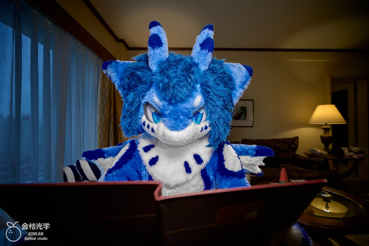 #FursuitFriday 
有什么推荐的吗？
何かお勧めはありますか。

📷：<a href="/LittleApplecat/">Gomeow·金桔·柠檬茶</a>