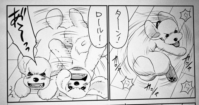 やる気満々サンジュ🐾 