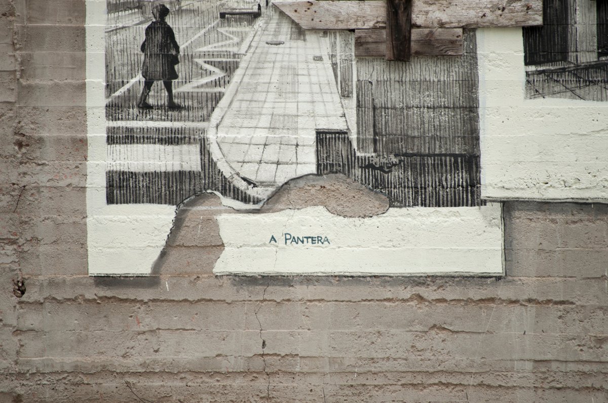 Rexenera Fest tweet media