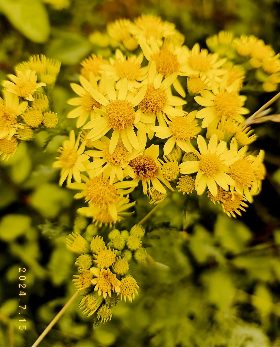 Turut prihatin🙏
Sedih bngt berita di twitter ☹️
- Perselingkuhan
- Penyiksaan
- Perundungan
- Pemerkosaan
- Pembunuhan
- etc.You name it!
Klo ga salah Mongol prnh blng, 2024 will b dominated by LUST! Whaddya think?
Gue upload yg seger2 hasil liburan aja deh yaah.