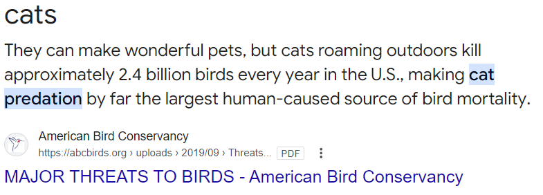 Marky75's tweet photo. @RpsAgainstTrump Ban cats if you love birds https://t.co/d2W6pRw4fv