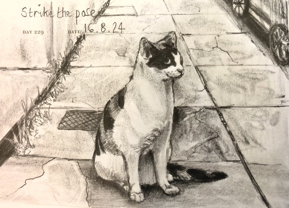 Venster67's tweet image. One Sketch A Day 16.8.24
‘Strike the pose’
#strikethepose #feline #catstudy #onesketchaday #sketchbook #visualdiary #art #illustration #pencilsketch