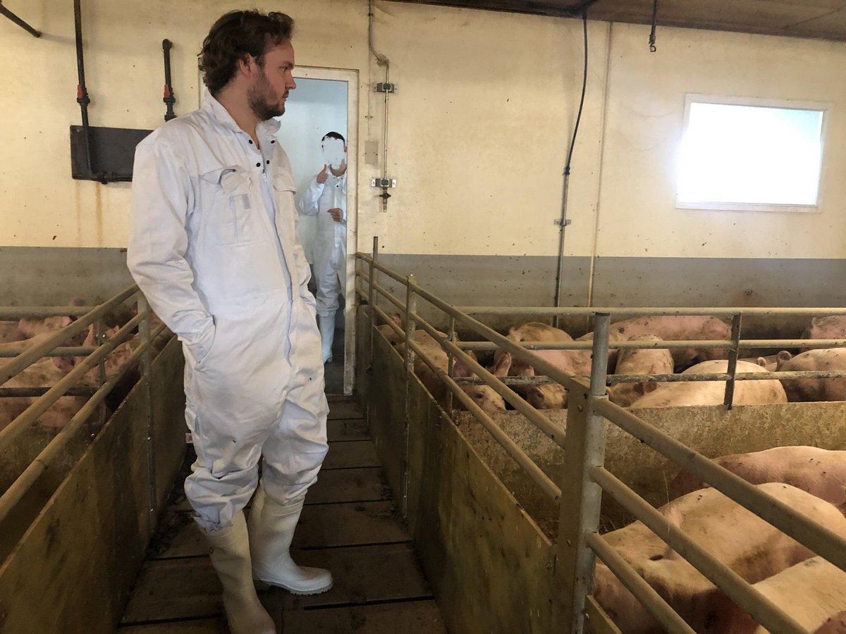 Carl Valentin tweet media