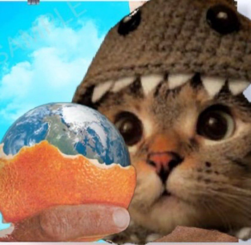 metacinderella tweet media