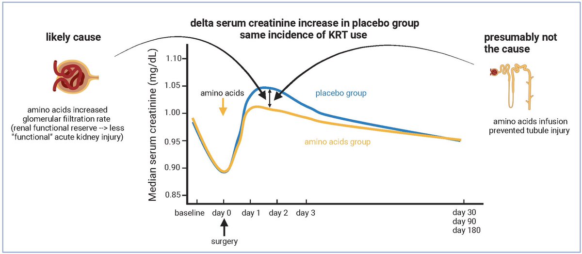 Turgay Saritas (@turgay_saritas) on Twitter photo Our comment on the recent PROTECTION RCT of amino acid infusion for kidney protection is now online in <a href="/NDTsocial/">NDT</a> <a href="/jogameiro/">Joana Gameiro</a> <a href="/MalyszkoJolanta/">Jolanta Malyszko</a> <a href="/MarliesOsterman/">Marlies Ostermann</a> <a href="/ERAkidney/">ERA - European Renal Association</a> #ERAKI
academic.oup.com/ndt/advance-ar… Our comment on the recent PROTECTION RCT of amino acid infusion for kidney protection is now online in <a href="/NDTsocial/">NDT</a> <a href="/jogameiro/">Joana Gameiro</a> <a href="/MalyszkoJolanta/">Jolanta Malyszko</a> <a href="/MarliesOsterman/">Marlies Ostermann</a> <a href="/ERAkidney/">ERA - European Renal Association</a> #ERAKI
academic.oup.com/ndt/advance-ar…