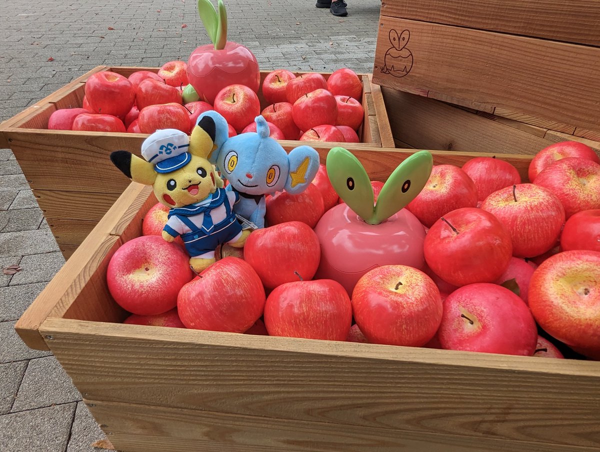 beni_hide's tweet image. #ポケぬい展覧会 ←このハッシュタグ見てると皆さんとても可愛くぬい撮りしてて感心する…!👀
私も便乗してみよう…😇
#ポケモン #ポケぬい #ポケモンfit
#ポケモン好きな人と繋がりたい