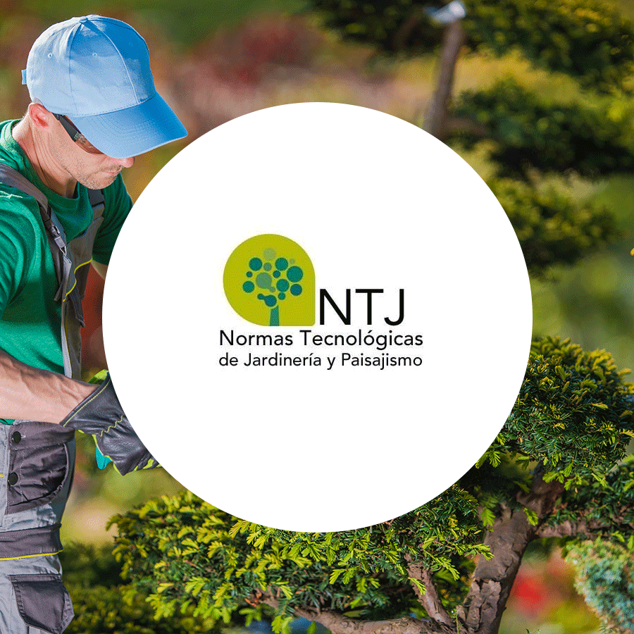 apevcat's tweet photo. Les Normes Tecnològiques de Jardineria i Paisatgisme (#NTJ) són un valuós instrument per a l’activitat professional i empresarial. Recordeu que les persones associades a l'#APEVC podeu consultar-les de forma gratuïta: https://t.co/FqWQVxcPUw https://t.co/yeLJR3YUq4