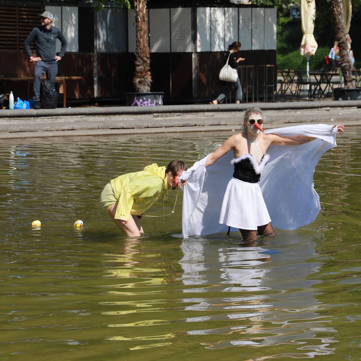 huntu's tweet photo. Aufgabe 10 der hunTU 2024: Ein als Wasservogel verkleidetes Teammitglied durchquert den Karlsplatzteich und zieht dabei mindestens drei Küken hinter sich her. Wir sehen hier die Teams „Giocolettes“, „Ich mag Züge“, „Big Bang“ sowie „Wokeschaft“ https://t.co/rId8QL91ZW