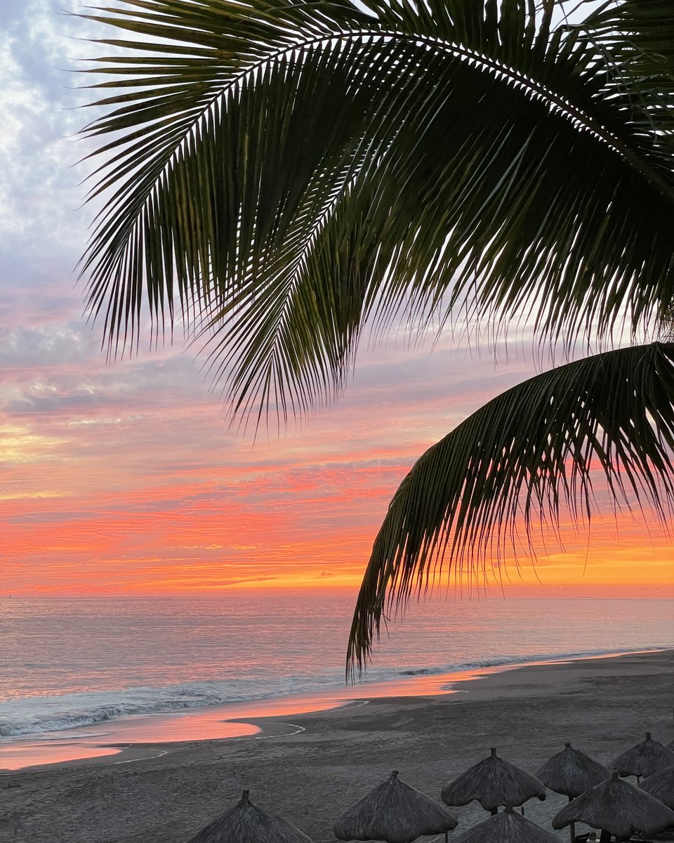 marriottpv's tweet photo. Déjate envolver por la magia del paraíso con cada amanecer y atardecer. Tu refugio de ensueño te espera
https://t.co/5kVLmnR17o https://t.co/OwEDVdaDsz