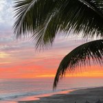 Photo by Marriott Puerto Vallarta (@marriottpv)