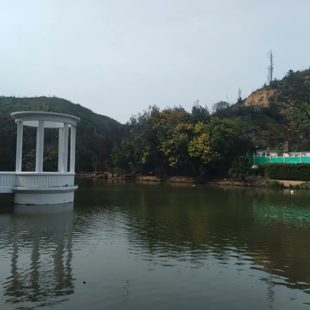 Rolando Contreras Bianchi tweet media