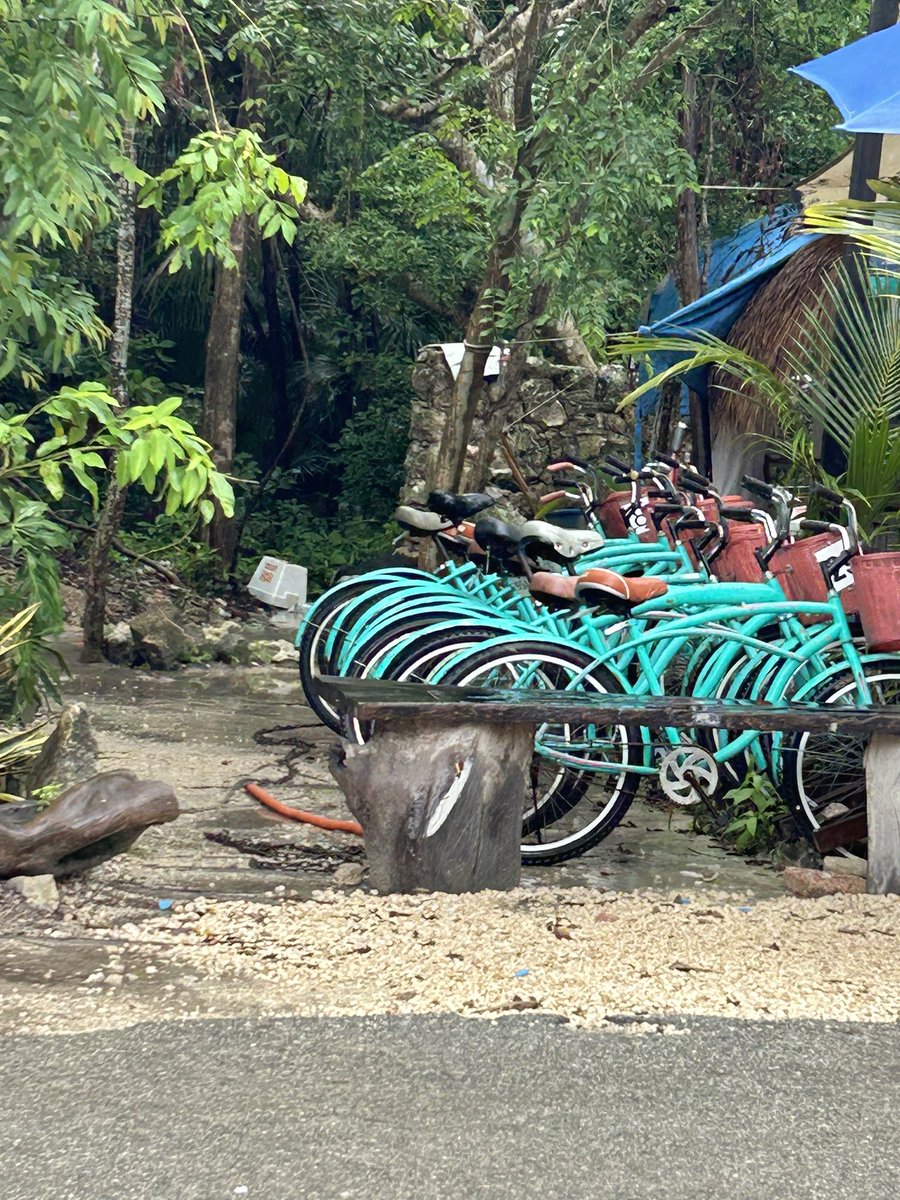 Schutte Consulting | schutteconsulting.bsky.social tweet media