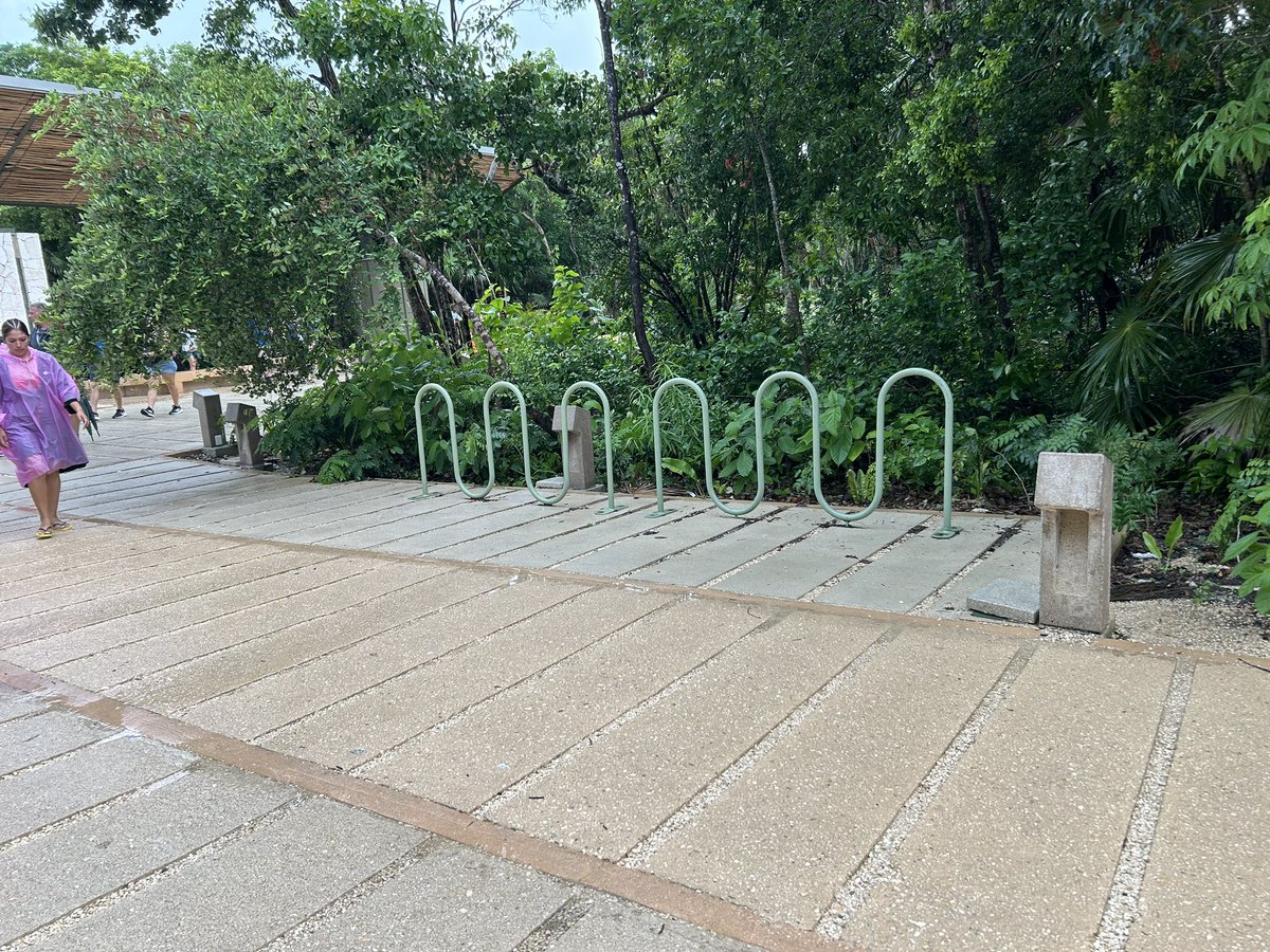 Schutte Consulting | schutteconsulting.bsky.social tweet media