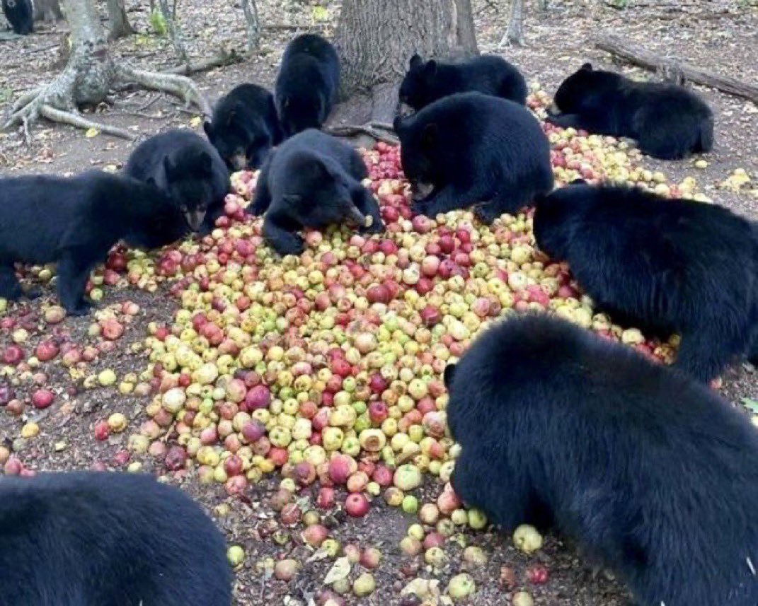 Uncle Duke tweet media