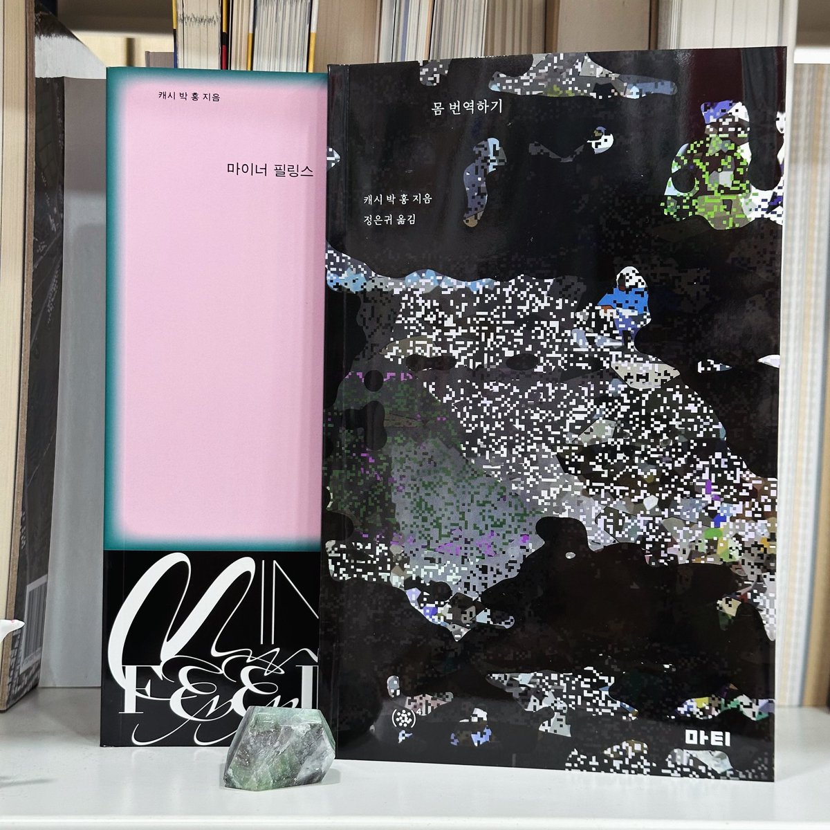 캐시 박 홍의 시집 『몸 번역하기』가 나왔습니다. 

모어와 모국어, 외국어 사이에서 자기를 버리고 벼리는 삶이, 깨진 언어와 몸을 찾는 여정이, 언어 사이를 미끄러지다가도 타고 노는 “미친 년”의 쾌활함이 읽는 이를 어리둥절하게 만들고 탄복하게 합니다.

aladin.kr/p/fRuiP