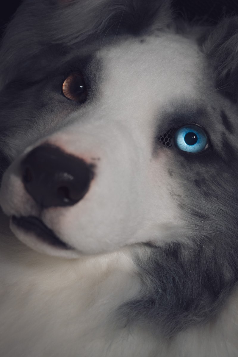 DOCorDOG's tweet image. Up close and personal for this #FursuitFriday! 🐾✨

🧵🪡@smallyuXP