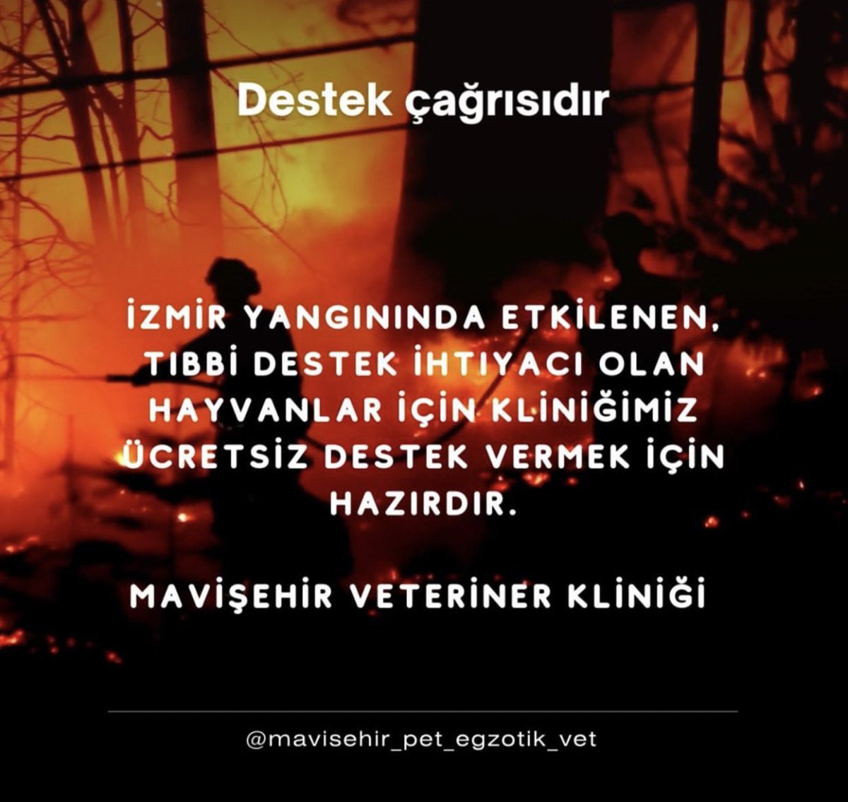 guclusinemm's tweet photo. Yangından etkilenen kurtulan canlar için destek gerekirse mavişehir pet kapılarını açtı 👇🏻 #izmiryangın https://t.co/yX2iLssyWT
