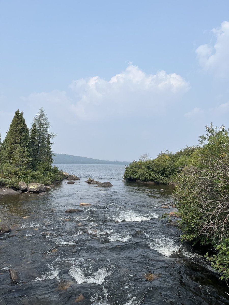 drCADuff's tweet image. Exploring Labrador West on foot &amp;amp; bike. Spotted blueberry patches &amp;amp; couldn’t resist the taste of wild berries.🫐