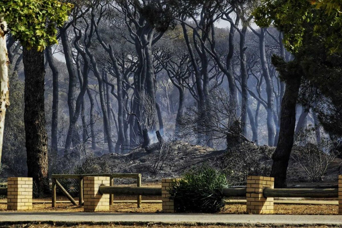 PulmonDeLaBahia's tweet photo. ¿QUE LE PARECE A PUERTO REAL ESTO?

Parece una limosna, esperábamos otra cosa, para que engañarnos. Más sabiendo que para volver a ver Las Canteras como estaban, hará falta mucho dinero y esfuerzo

Si comparamos lo que haremos la Asociación y otros colectivos, parece una miseria https://t.co/YwKQWy4gBC
