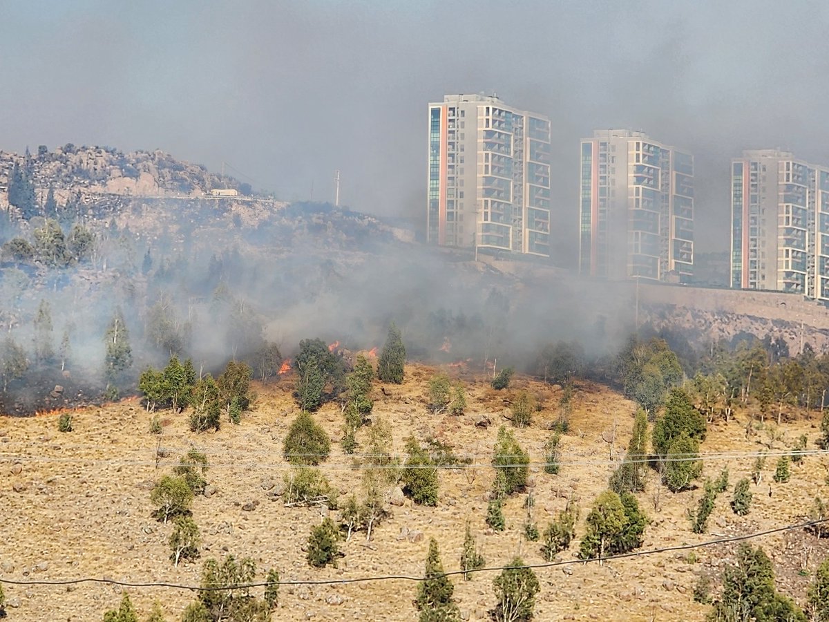 @Bavderd olarak İzmir'de yaşanan yangın felaketi nedeniyle derin üzüntü içerisindeyiz.
Bu kötü durumdan etkilenen herkese geçmiş olsun dileklerimizi iletiyor, yangının bir an önce kontrol altına alınmasını temmenni ediyoruz.
 #Yangın #Yamanlar
#İzmirYanıyor