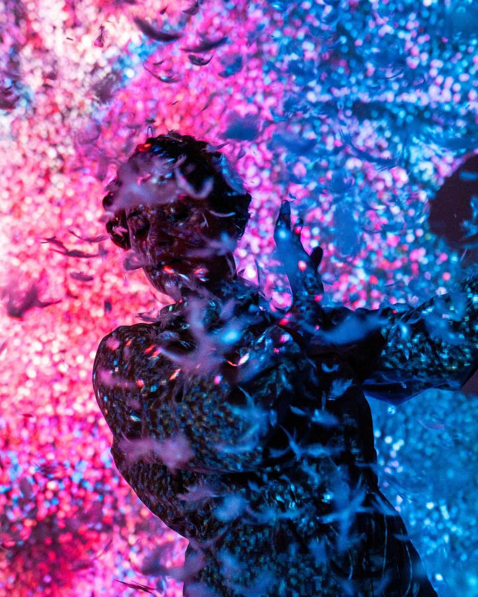 Jeanne Morel tweet media