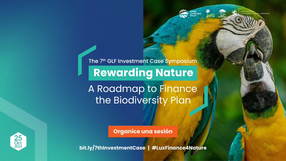 GlobalLF_Esp's tweet photo. ¡Amplifique su impacto en la conservación de #biodiversidad y finanzas sostenibles!

Organice una sesión en el 7° Simposio del Caso de Inversión GLF junto a la #COP16 en Cali, Colombia y en línea.

Aprenda más: https://t.co/LaFqNcxSqF

#LuxFinance4Nature https://t.co/vBFnCfx4Et
