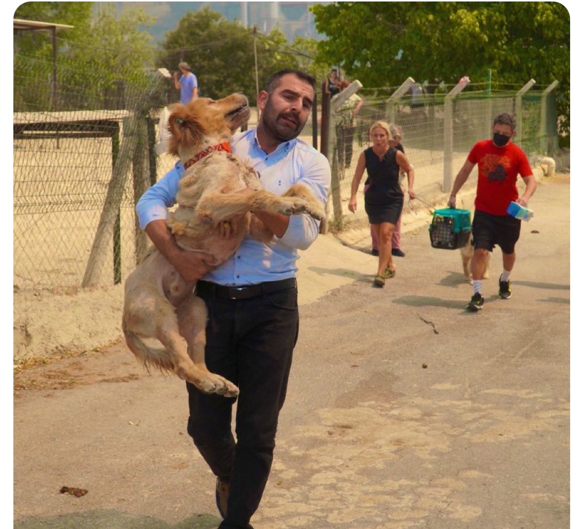 Bu yangın Konya’da veya Yozgat’ta çıksaydı barınaklar kimsenin umrunda olmazdı. İzmir ve İzmirliler ne güzel insanlarsınız siz. Türkiyemin güzel kalmış tek köşesisiniz. 
Allah razı olsun, ayağınıza taş değmesin