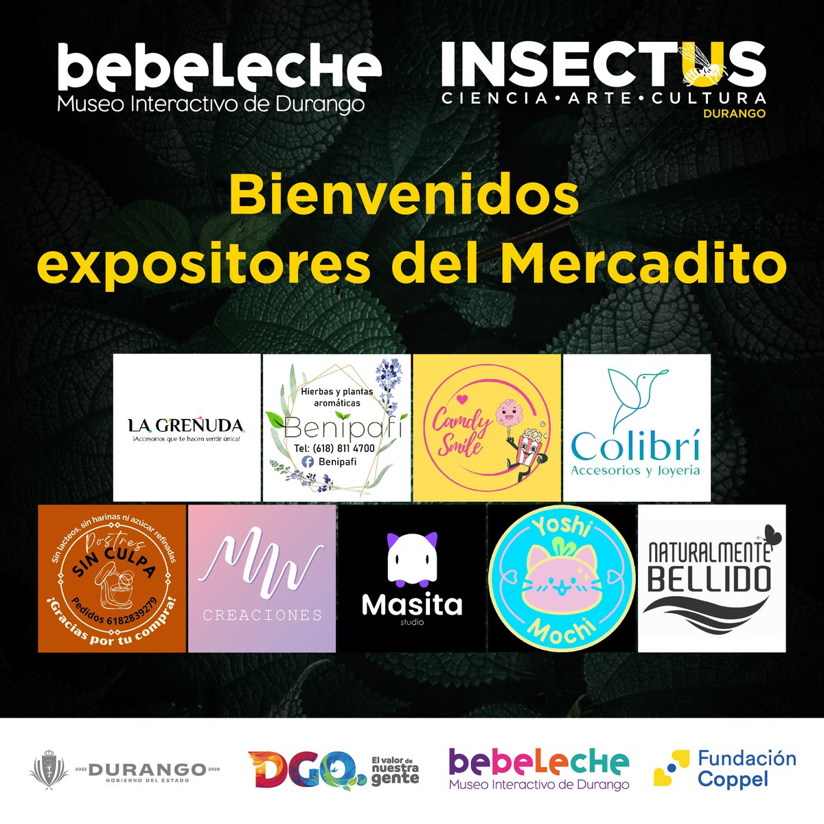¡Ven y explora "Insectus"! 🐜🦋 ¡La entrada es totalmente GRATIS! Además, no te pierdas el Mercadito de Emprendedores, donde encontrarás productos únicos, hechos  por talentosos artesanos locales.