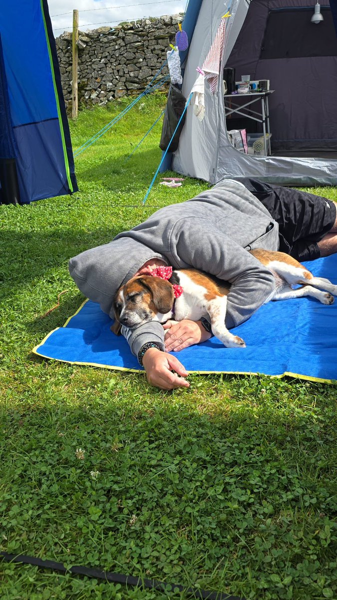 Stephen Pickup tweet media