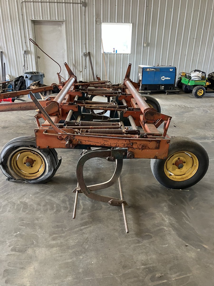 Mitch Stuart tweet media