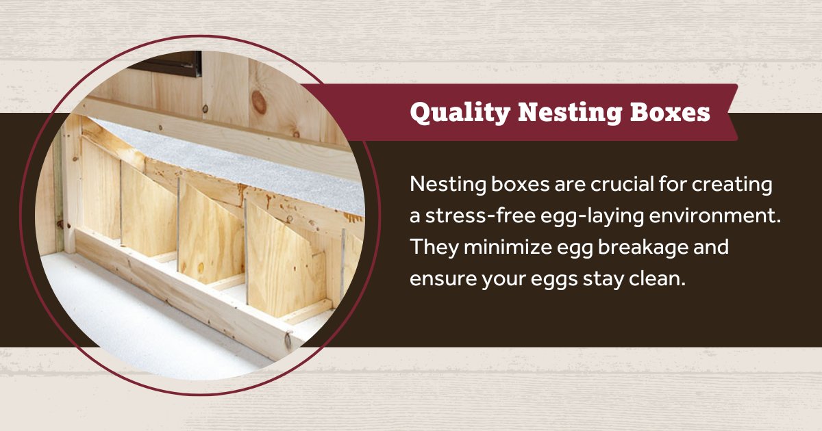 DakotaStorage's tweet image. Nesting boxes provide a safe and comfortable space for hens to lay eggs, ultimately leading to better egg production and happier hens.

See how you can create optimal nesting environments for your hens on our blog. 👇
hubs.ly/Q02CcVpV0

#chickencoop #nestingboxes