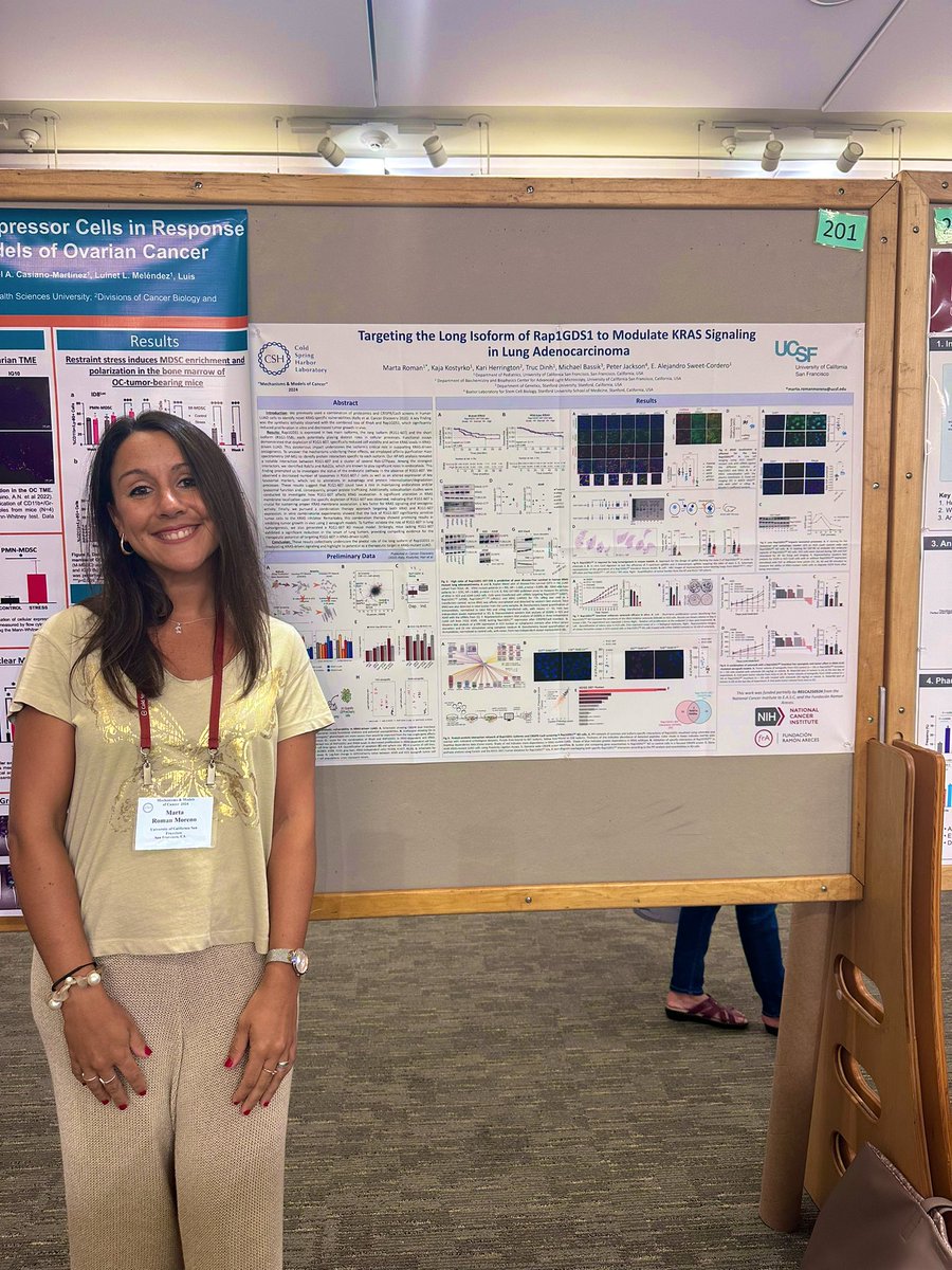 MartaRoman tweet media