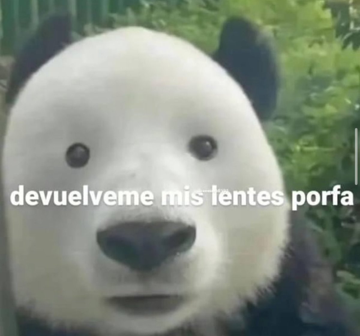 bautizita's tweet image. 