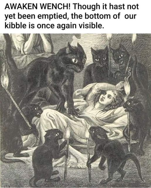 woofknight's tweet photo. https://t.co/b2hMKdNAtk