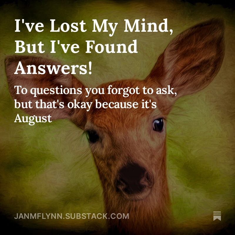 JanMFlynnAuthor's tweet image. August is the Sunday afternoon of months: I don&apos;t ever really know what to do with it, so I did this.
#substack #substackwriter #substacknewsletter