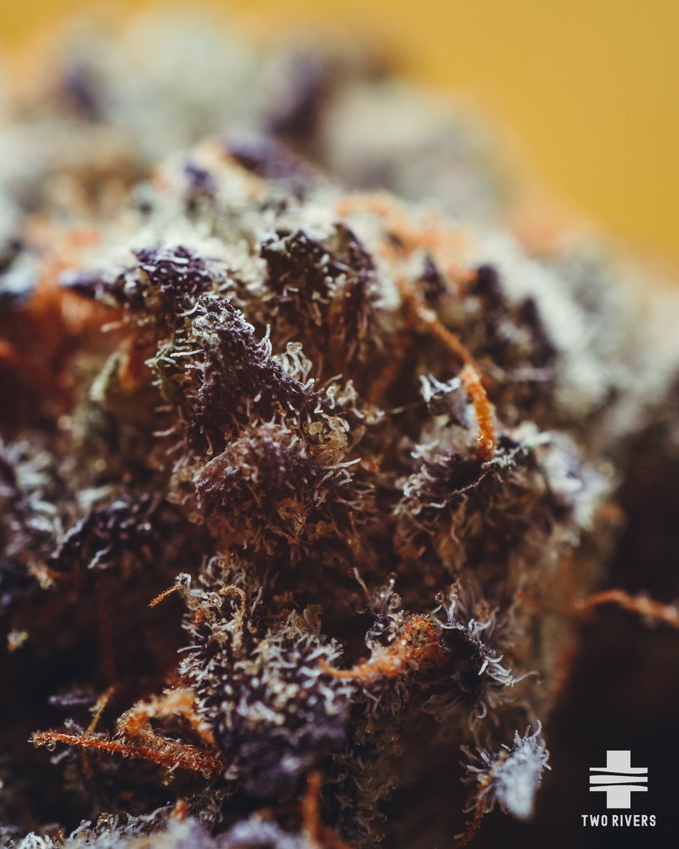 tworivers_sac's tweet photo. #TGIF is here &amp; we are ready to CELEBRATE! Stop in today for #FullGramFriday &amp; spend $60 and grab a $15 or less #gram for 99% off. Come on by &amp; enjoy top-quality, fresh #cannabis for a fraction of the price. 🌿💨 https://t.co/Q6MI1DUgDY #tworivers #dispensary https://t.co/KWFI0ozdip