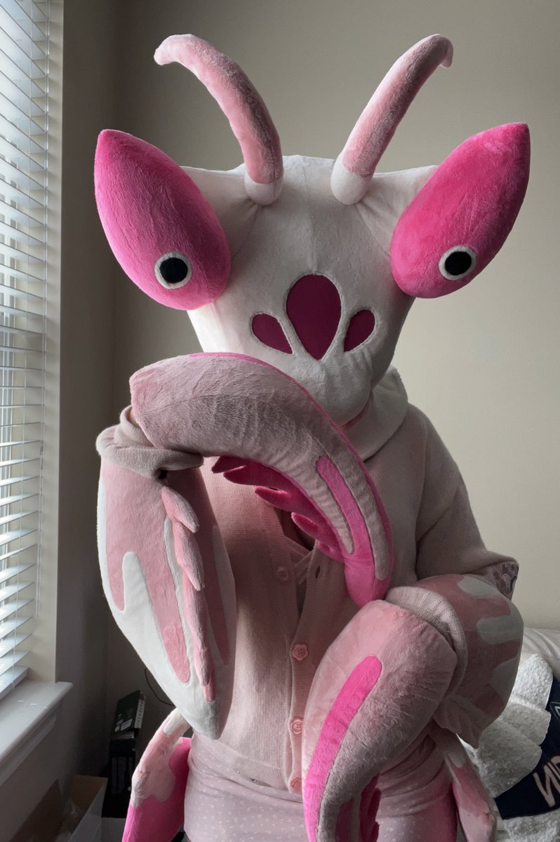 Quadziki tweet media