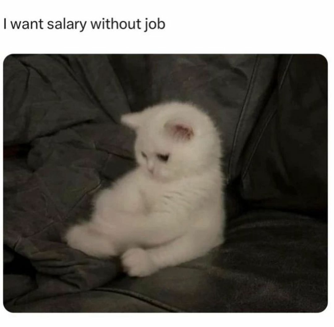 catshealdeprsn's tweet image. 