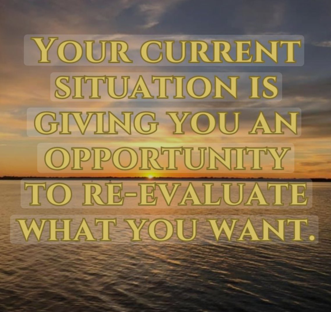 Michelle Harrison tweet media