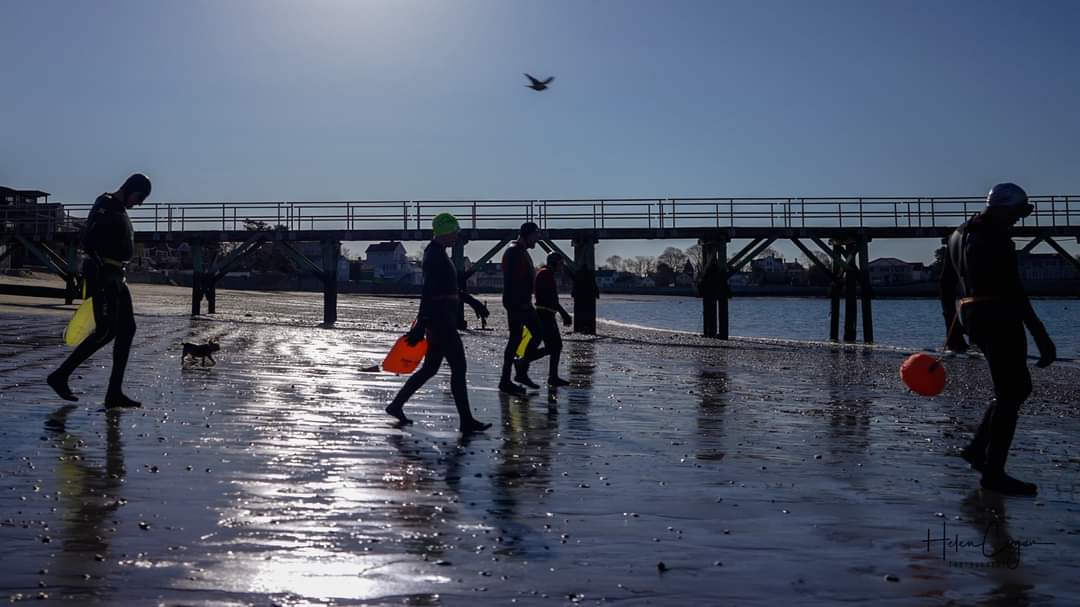 Enduranceswim's tweet photo. Endurance Swimming Newsletter: Mid-Season Training! - https://t.co/5u93QZX7y7 https://t.co/NuP31GOfZo