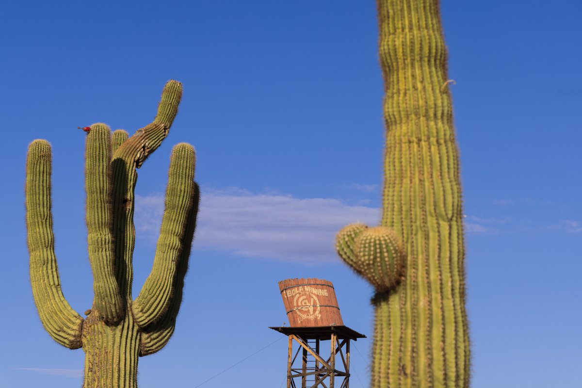 studioDPA's tweet image. Some site visits are....interesting.  #SiteAnalysis #LandscapeArchitecture #Carnegieagigantea #CibolaMining #LuckyNumber7