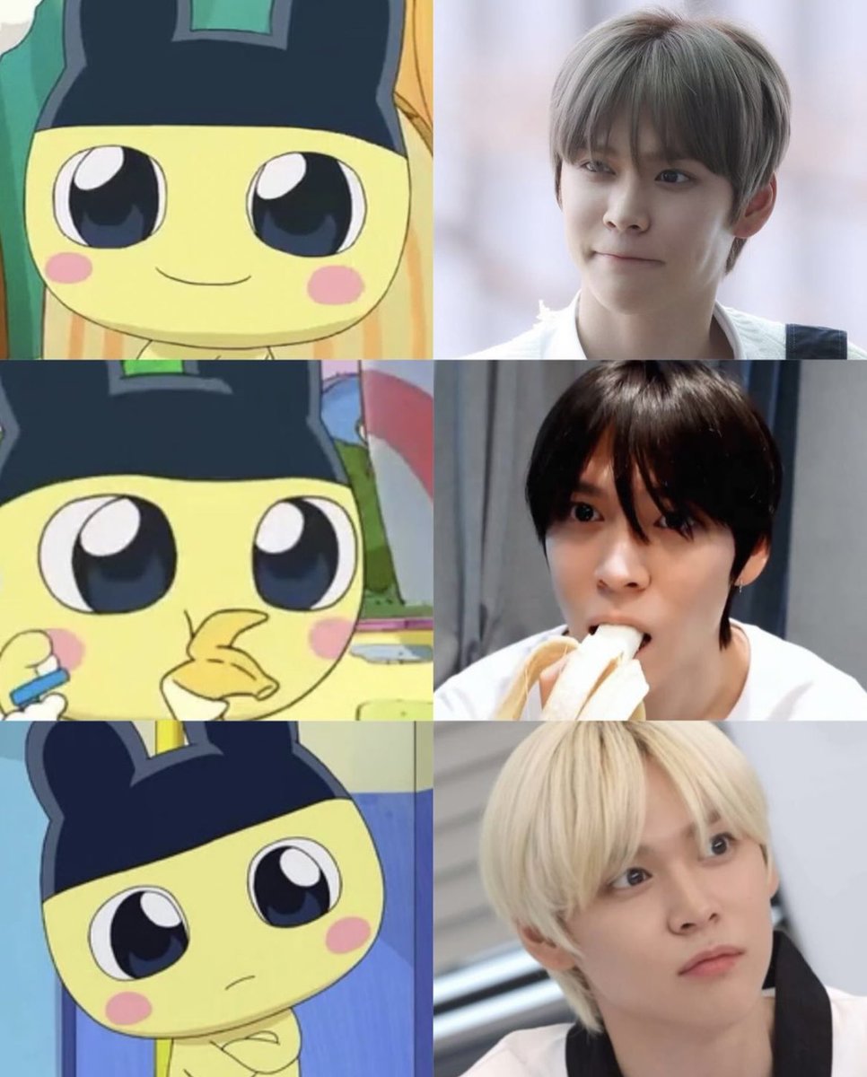 最近本気でまめっちにしか見えなくなった