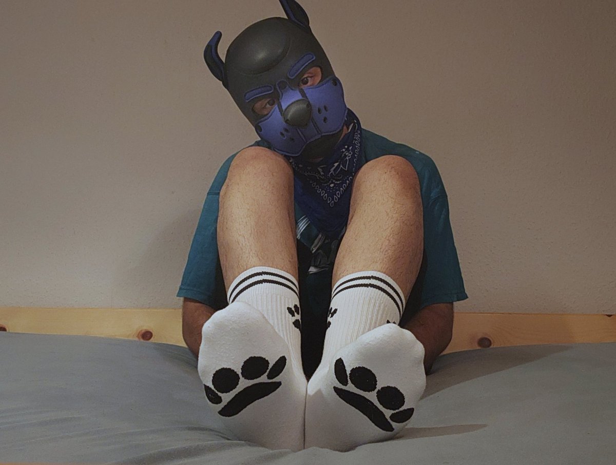 puppyashbe's tweet photo. 🐶🧦

#puppy #pup #puppyplay #sub https://t.co/nh2rsx7bkd