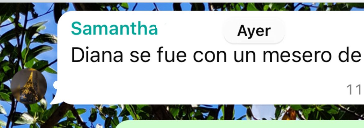 dncstllx's tweet photo. Me dan raite en el trabajo.
Mi amiga en corto avisando a mi otra amiga: https://t.co/5uHP2dImrw