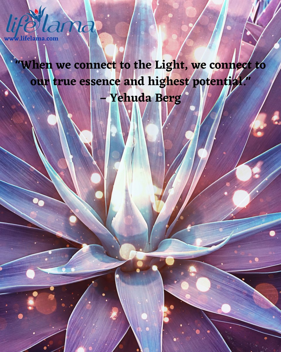 LifeLama's tweet photo. Connect https://t.co/Hc8MOicw5Y